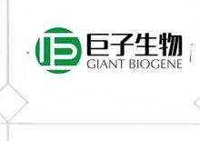 巨子生物