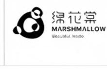 绵花棠 MARSHMALLOW